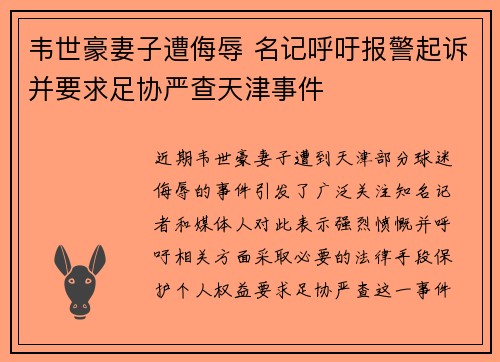 韦世豪妻子遭侮辱 名记呼吁报警起诉并要求足协严查天津事件